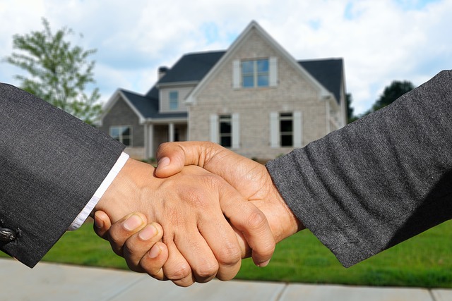 tps immobiliere