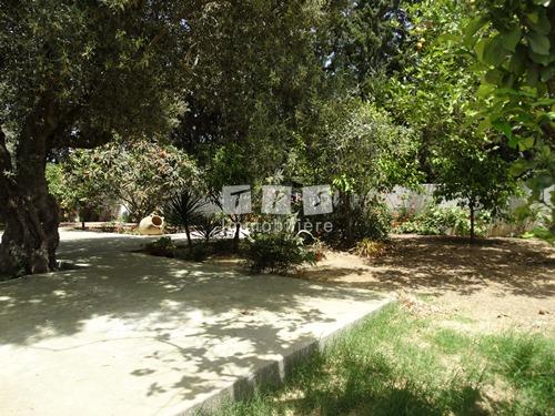 Appartement à vendre Tunisie