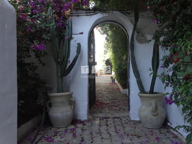 location appartement hammamet