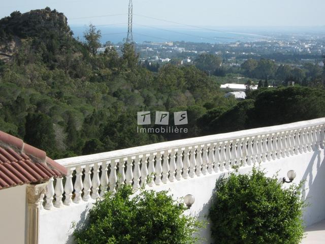 agence immobilière tunisie