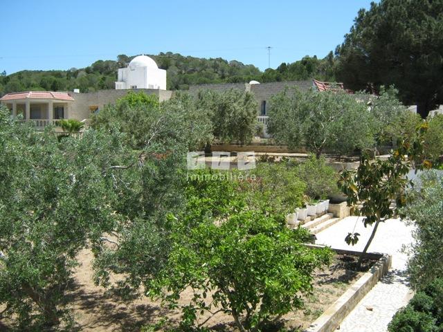 Appartement à vendre Tunisie