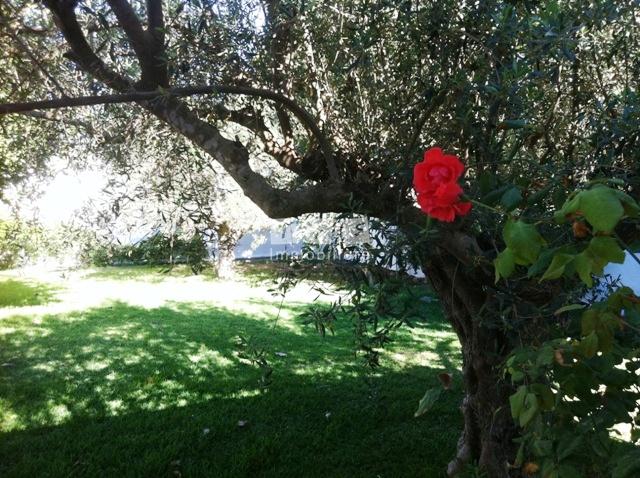 vente villa Tunisie