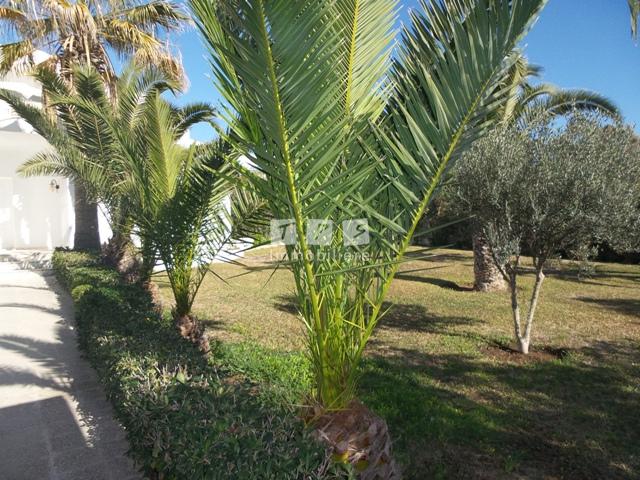 vente villa Tunisie
