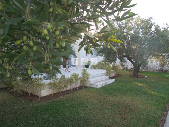 Appartement à vendre Tunisie