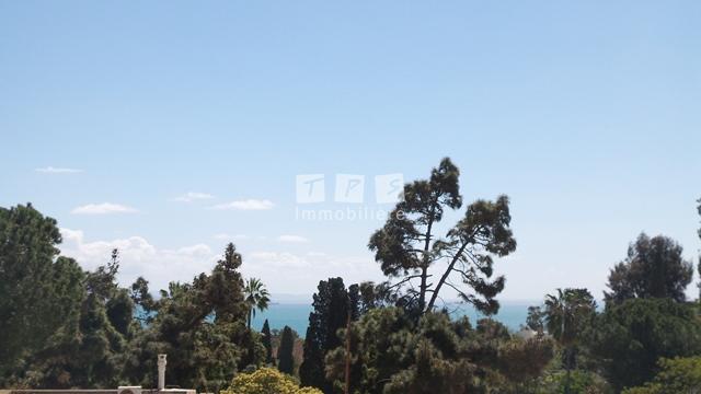 location appartement hammamet