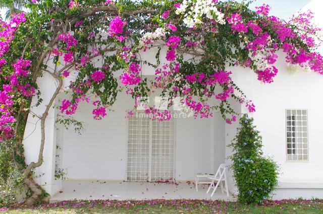 vente villa Tunisie