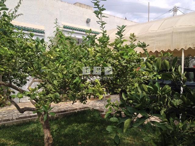 Appartement à vendre Tunisie