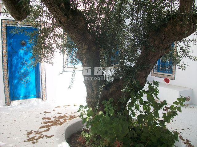 vente villa Tunisie