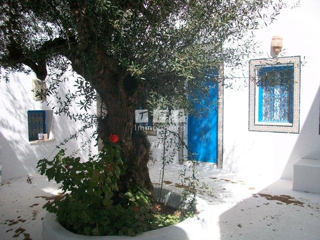 vente villa Tunisie