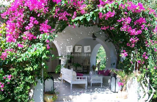 location appartement hammamet