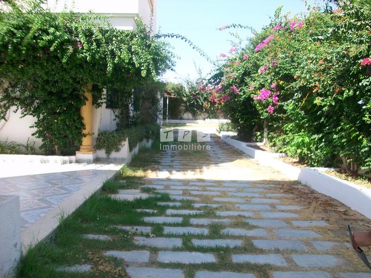 location appartement hammamet