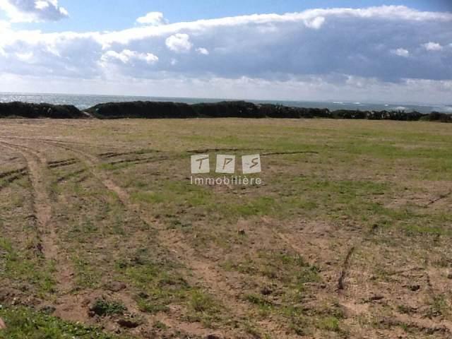 agence immobilière tunisie