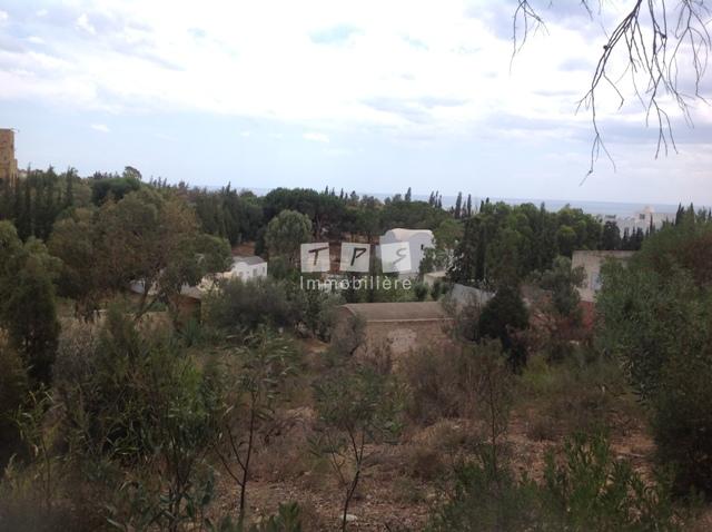 Appartement à vendre Tunisie