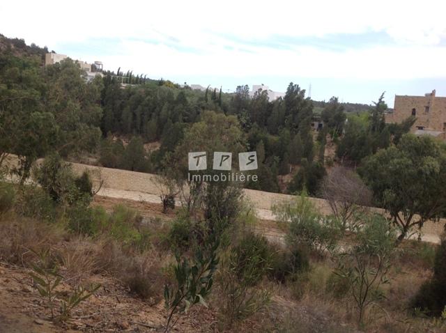 Appartement à vendre Tunisie