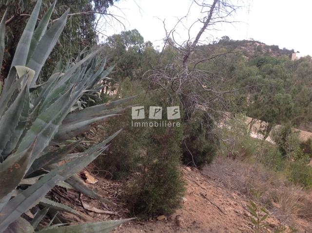 Appartement à vendre Tunisie