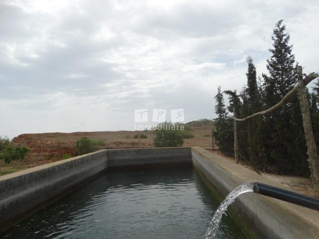 agence immobilière tunisie