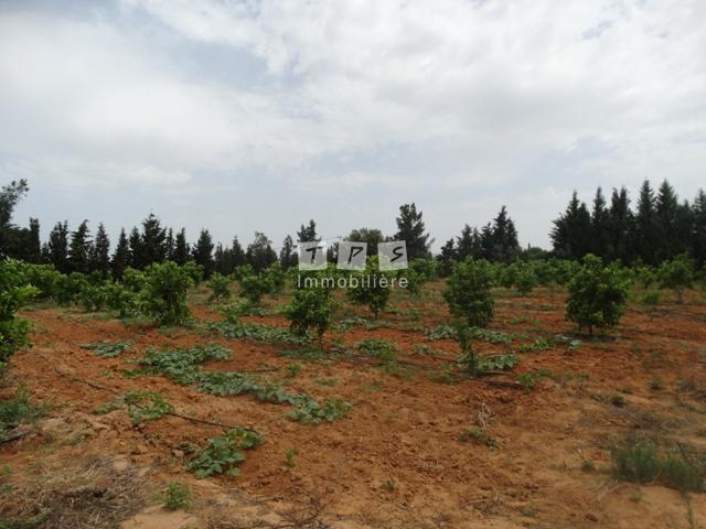Appartement à vendre Tunisie