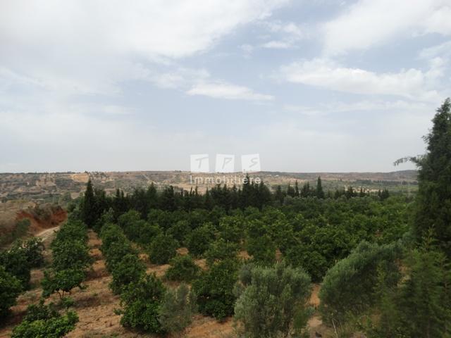 Appartement à vendre Tunisie