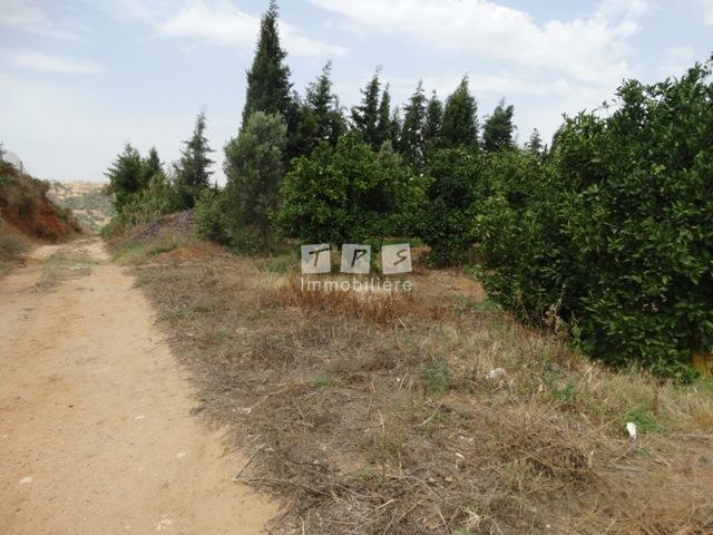 Appartement à vendre Tunisie