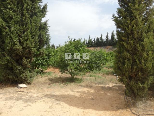 Appartement à vendre Tunisie