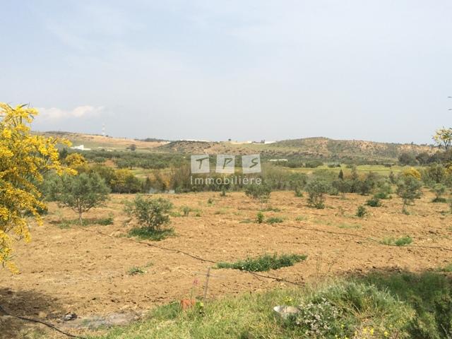 Appartement à vendre Tunisie