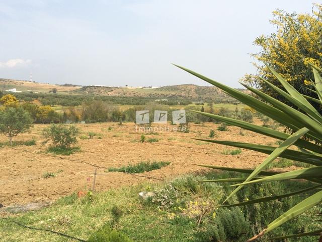Appartement à vendre Tunisie