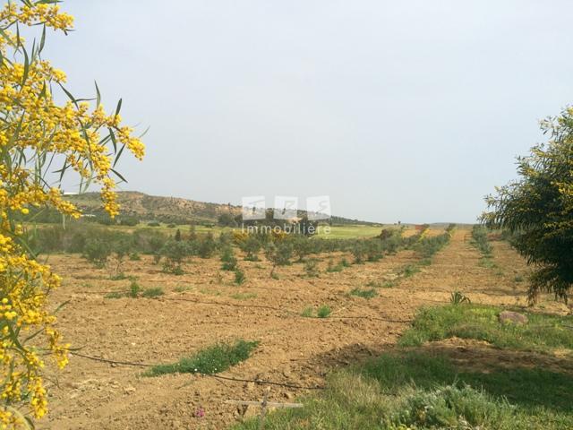 Appartement à vendre Tunisie