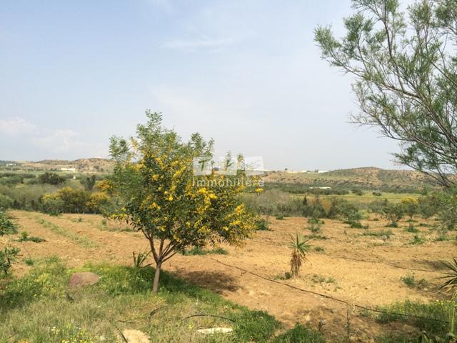 Appartement à vendre Tunisie