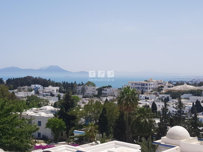 agence immobilière tunisie