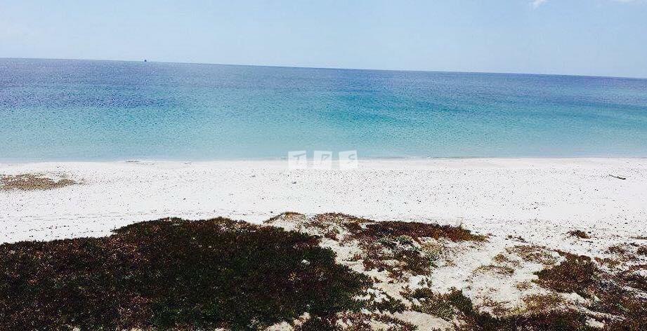 location appartement vacance hammamet