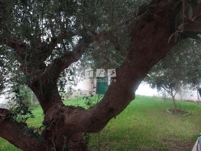 vente villa Tunisie