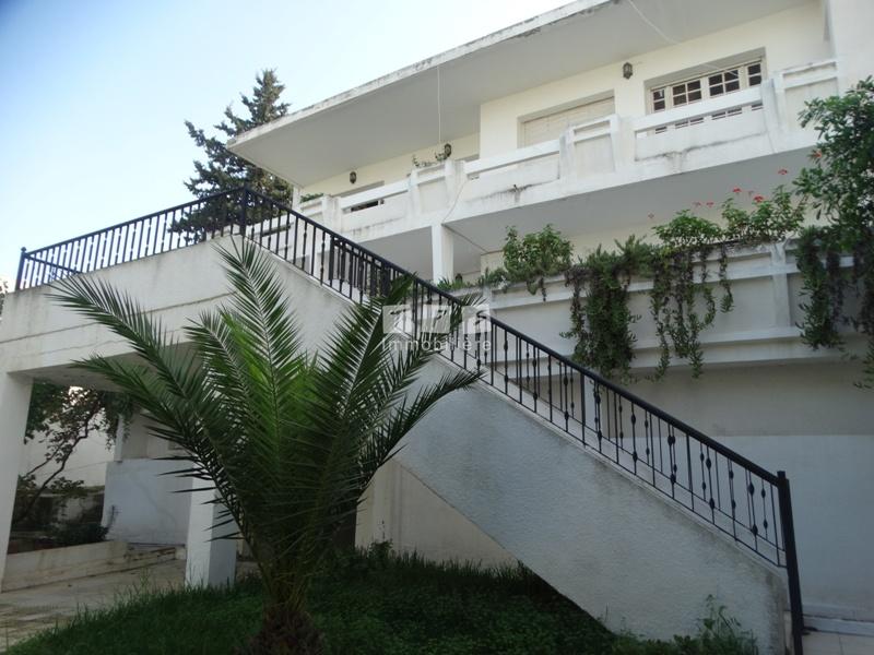 agence immobilière tunisie