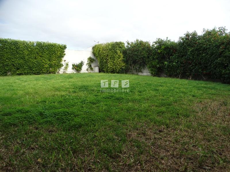 location appartement hammamet