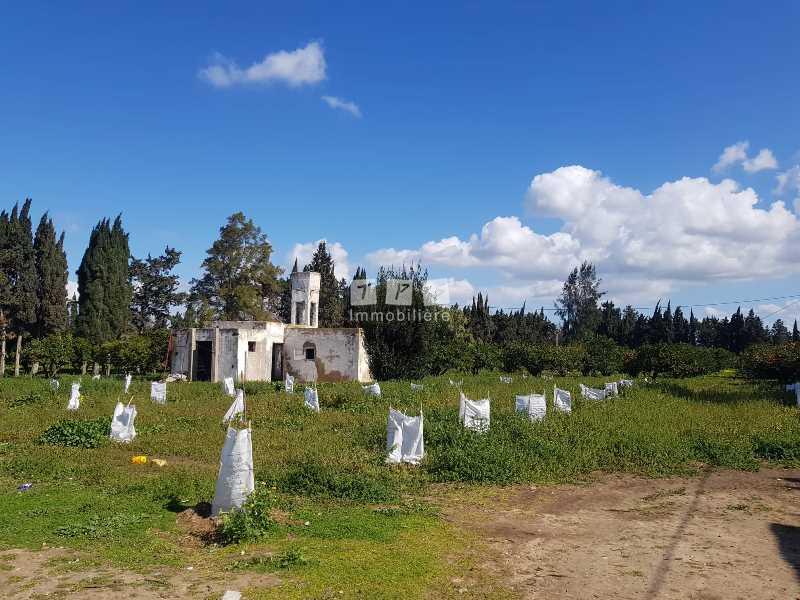 Appartement à vendre Tunisie