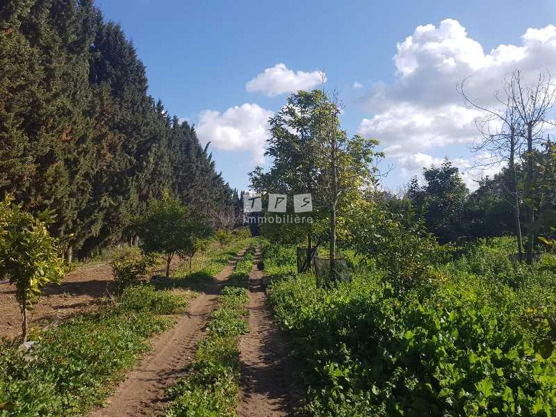 Appartement à vendre Tunisie