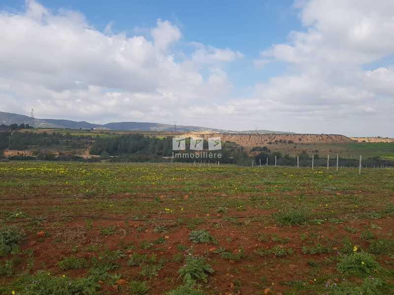 Appartement à vendre Tunisie