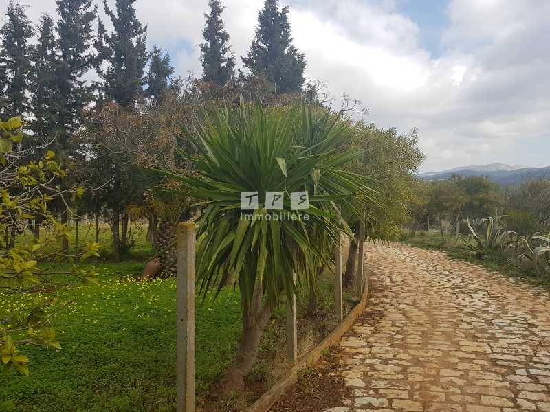 Appartement à vendre Tunisie