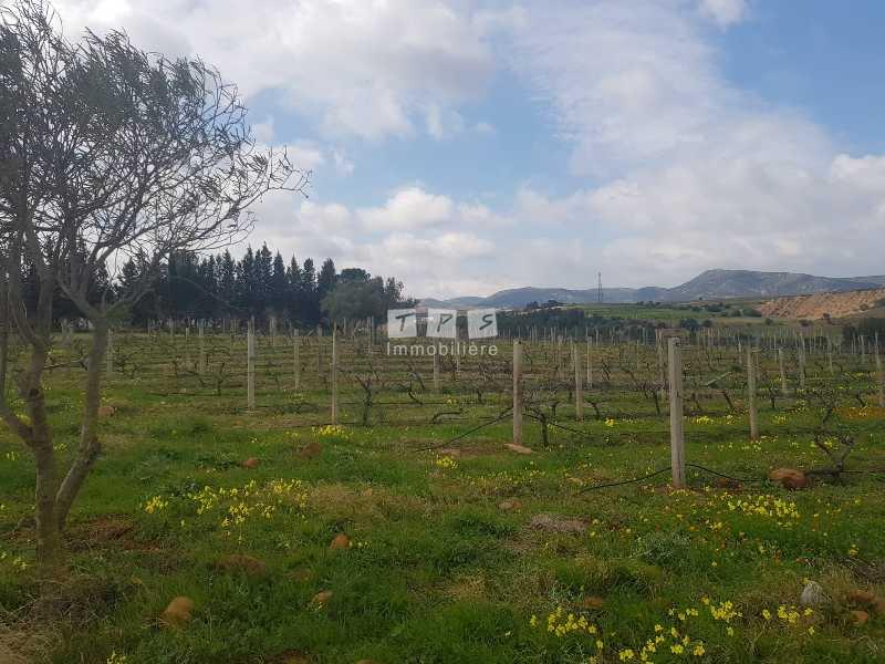 Appartement à vendre Tunisie