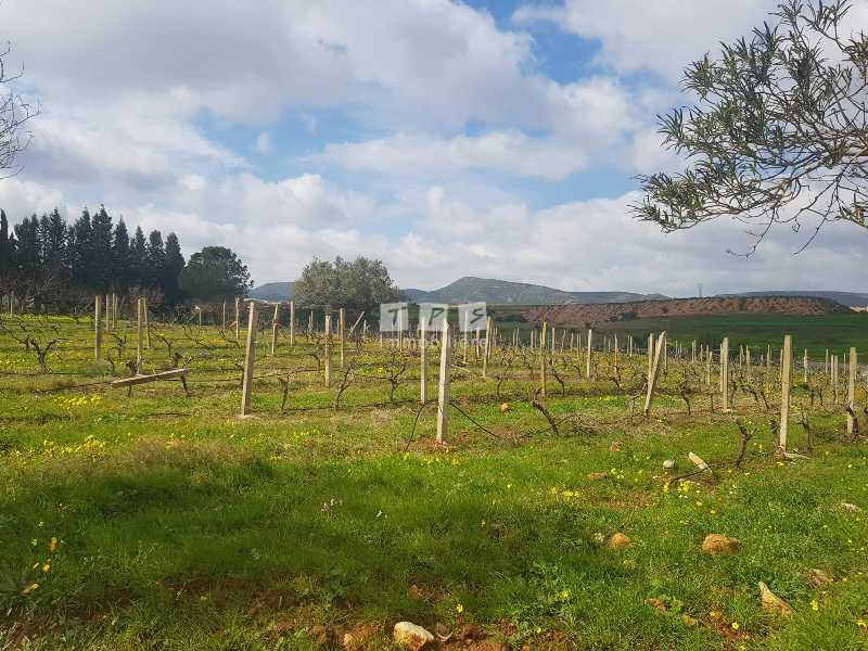 Appartement à vendre Tunisie