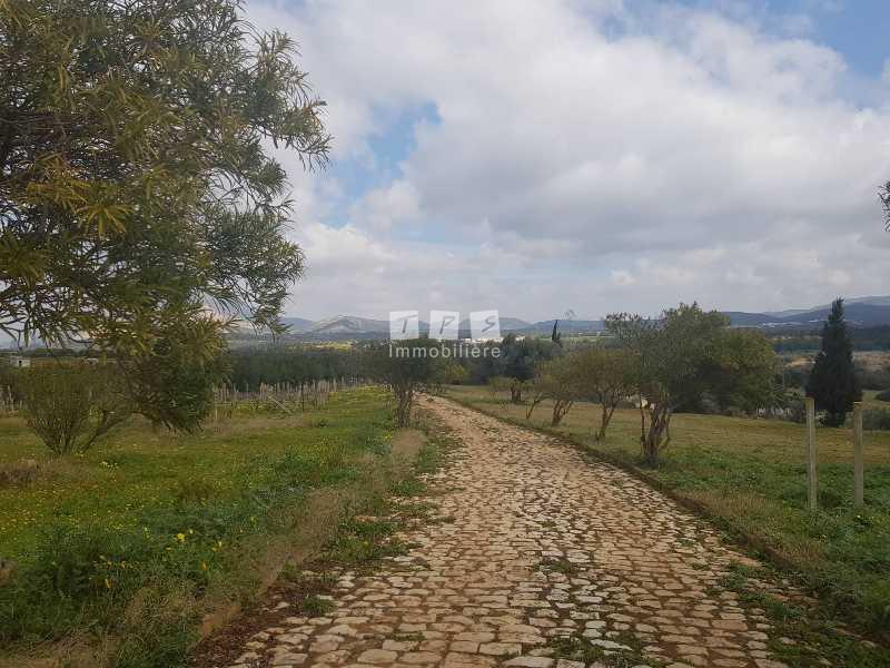 Appartement à vendre Tunisie