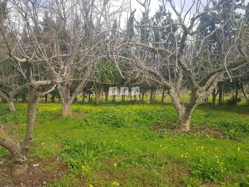 Appartement à vendre Tunisie