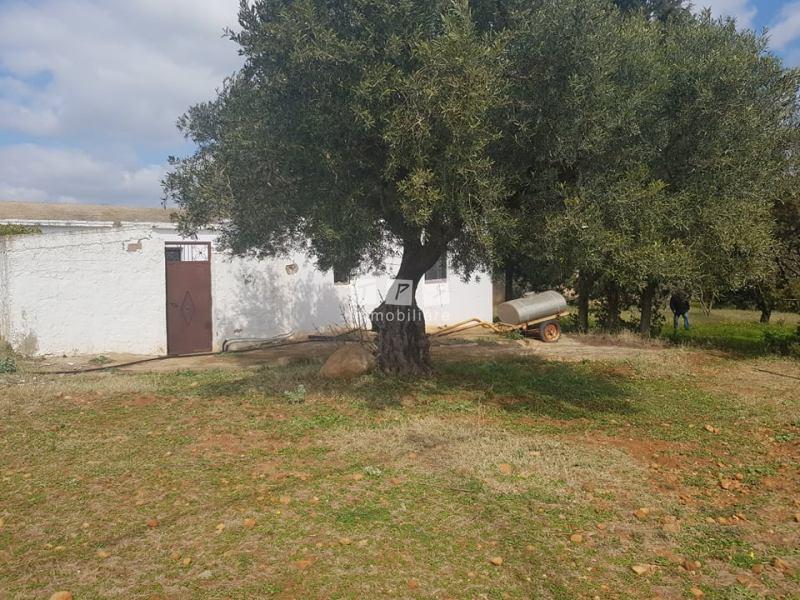 Appartement à vendre Tunisie