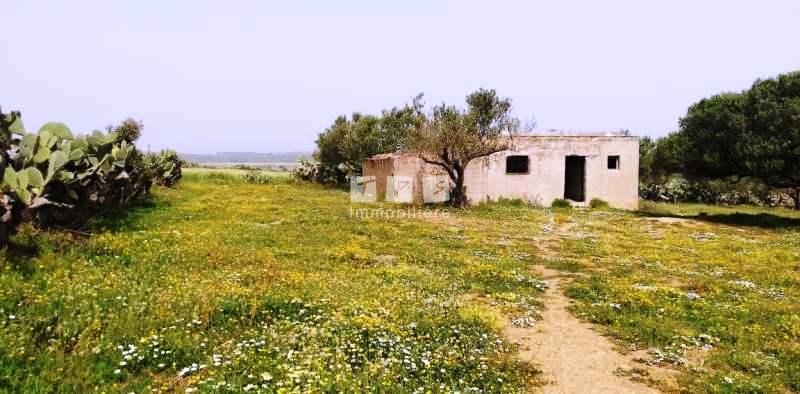 agence immobilière tunisie