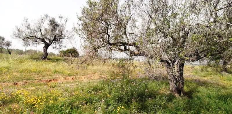 Appartement à vendre Tunisie