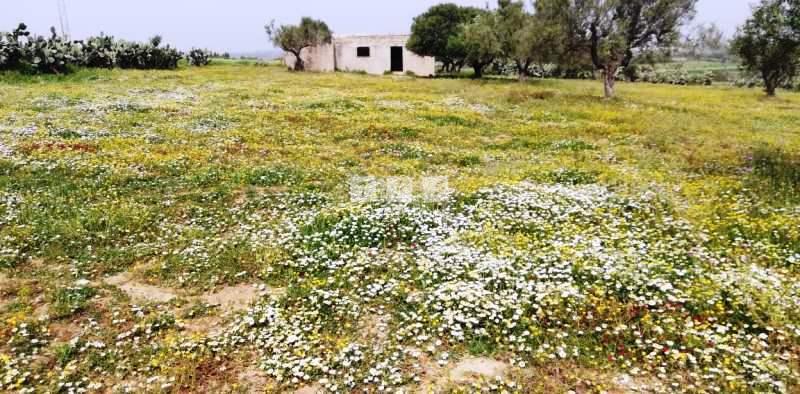 Appartement à vendre Tunisie