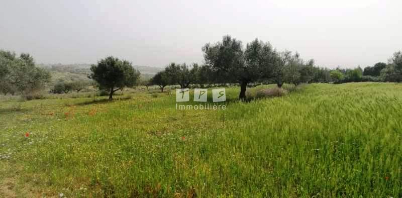 Appartement à vendre Tunisie