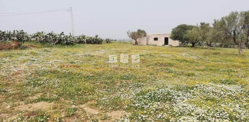 Appartement à vendre Tunisie
