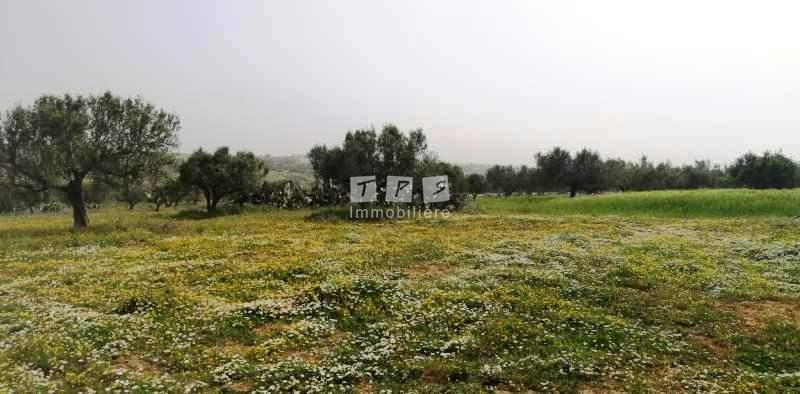Appartement à vendre Tunisie