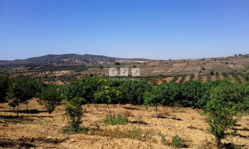 Appartement à vendre Tunisie