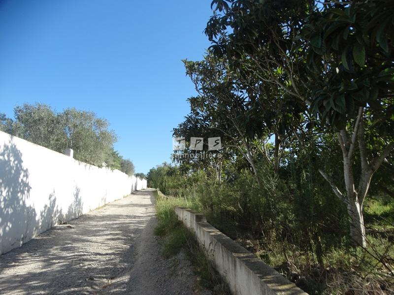 Appartement à vendre Tunisie